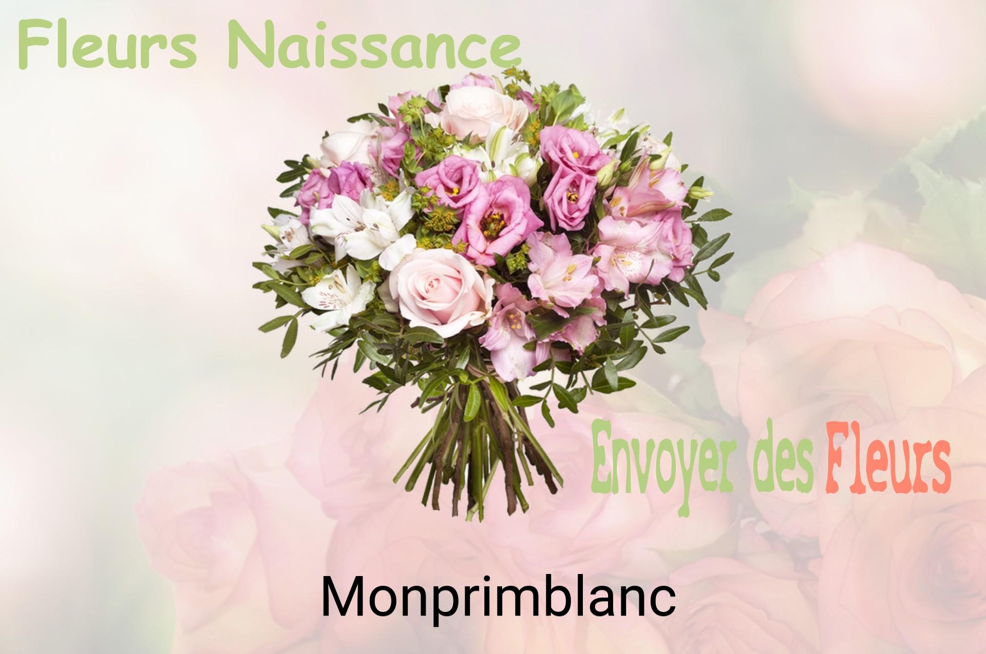 Bouquet de fleurs de naissance livré à Monprimblanc